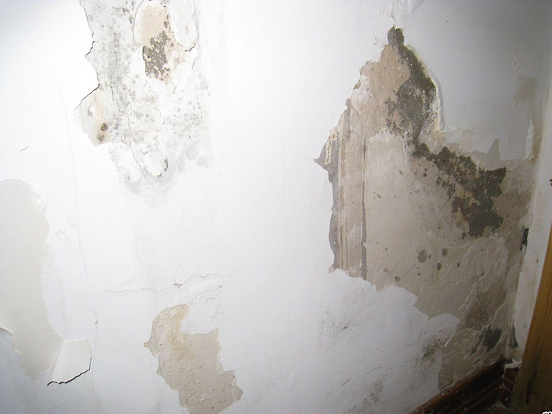 別只問(wèn)衛(wèi)生間漏水處理多少錢(qián)，具體問(wèn)題具體分析才是正確方式