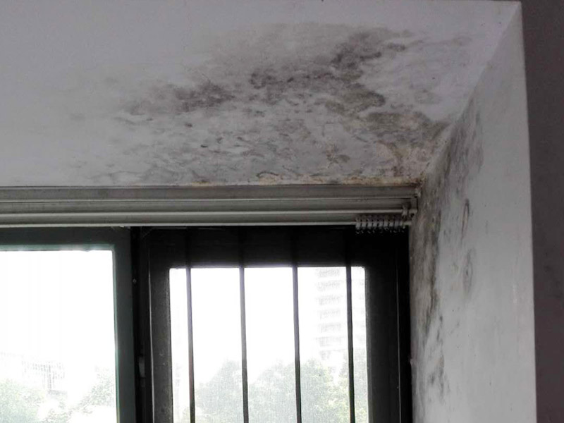 墻面起霉維修：墻壁起霉的處理：打磨、修補、刷防水涂料。
1、用砂紙打磨干凈，如果有脫層，用鏟刀處理平整；
2、如果墻面不平整，需要用膩子修補平整；如果墻面比較平整，建議先涂刷封閉底漆，然后再刷乳膠漆。
3、為了防止后期墻面再次發(fā)霉，建議再刷一層防水涂料、乳膠漆等。