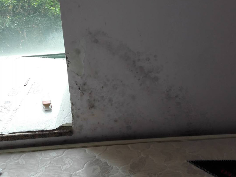 墻面起霉維修：墻壁起霉的處理：打磨、修補、刷防水涂料。
1、用砂紙打磨干凈，如果有脫層，用鏟刀處理平整；
2、如果墻面不平整，需要用膩子修補平整；如果墻面比較平整，建議先涂刷封閉底漆，然后再刷乳膠漆。
3、為了防止后期墻面再次發(fā)霉，建議再刷一層防水涂料、乳膠漆等。