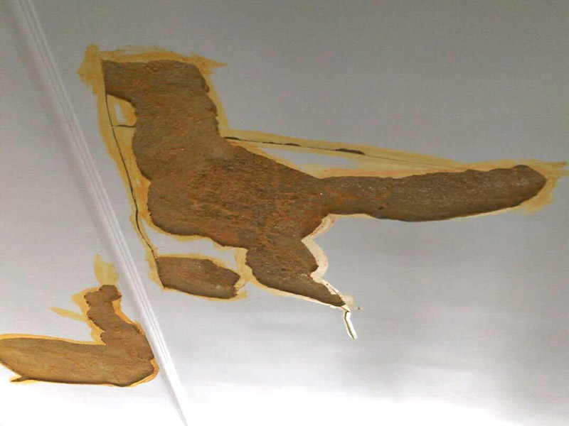 客廳天花板維修：導(dǎo)致掉皮的原因其實也并不少，要根據(jù)原因入手去弄哦，這樣才更有效！施工溫度的原因，乳膠漆施工溫度低，未能形成連續(xù)的涂膜而龜裂，遇水即會脫落;基層疏松，有油污等污物，涂膜與基層粘附不好，造成剝落；基層批刮膩子強度低，膩子層未干透即涂刷乳膠漆；基層過于平滑，以造成涂膜附著力不好。剝落防范:施工前先觀察一下，清理好基層。原來的乳膠漆最好鏟掉，重新批一下墻面，再上新乳膠漆。直接滾上去覆蓋的話時間不長很容易脫落。墻面時間長也會起鼓、掉皮的，你就是買高品質(zhì)的抗堿底漆、封閉底漆先刷幾遍再做基層處理和乳膠漆。