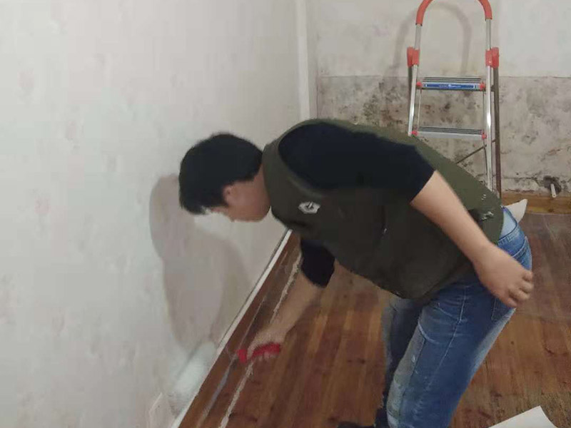 墻面滾漆：毛坯的墻體或者已經(jīng)做好1道膩?zhàn)訉拥姆孔樱鶎右蠡鶎颖仨毱秸麍?jiān)固。不得有粉化、起砂、空鼓、脫落等現(xiàn)象?；鶎硬黄胶涂油菝鎽?yīng)該配套膩?zhàn)庸纹?。陰?yáng)角必須通過(guò)彈墨線來(lái)找垂直的鋁通來(lái)衡量水平垂直的整度。后一遍膩?zhàn)討?yīng)在前一遍膩?zhàn)油耆珊蠓侥苁┕ぁ?刮膩?zhàn)雍螅傆行└叩筒黄?，或者基層不是很平整的面。這個(gè)時(shí)候，需要砂紙出動(dòng)，進(jìn)行手工的打磨，修復(fù)。中間還可以用太陽(yáng)燈照明，便于檢查平整度。再用砂紙打磨，不斷的完善。最后就可以進(jìn)行滾的作業(yè)，相對(duì)而言，這是性?xún)r(jià)比較高的施工方式。輥涂時(shí)，為避免輥?zhàn)雍圹E，搭接寬度為毛輥長(zhǎng)度的1/4，一般輥涂?jī)杀?，夏季其間隔應(yīng)2小時(shí)以上，冬季可能需要多點(diǎn)時(shí)間。