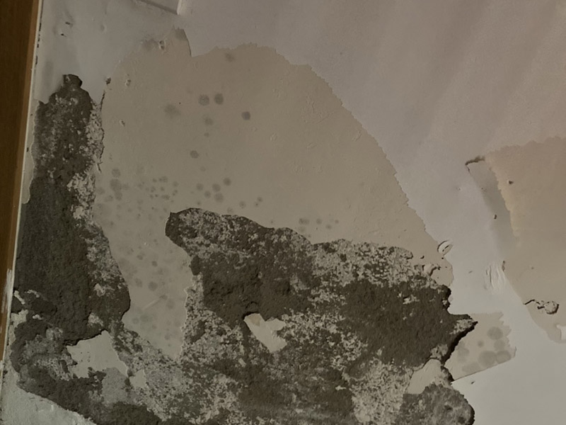 客廳吊頂裝修：客廳吊頂安裝前需要先畫好吊頂?shù)母鱾€尺寸，然后在房頂上固定好位置，再用沖擊鉆打孔，最后再把大龍骨用膨脹螺絲固定好。接下來將地上訂好的骨架托上天花板上，用方條當固定柱，并且橫豎都要打水平線來固定骨架，按照圖紙的的尺寸將多余的骨架鋸掉。下一步就是需要固定石膏板了，建議用十字架撐著吊頂上的石膏板，用螺絲加以固定，多余的石膏板需要切除。這樣之吊頂就差不多做好了。