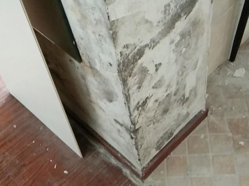 頂面墻面掛網(wǎng)裝修：新房毛坯房抹灰面未經(jīng)過任何處理的情況下,如果表面平整度、磨砂面均勻,無空鼓、裂痕,完全可以不必掛網(wǎng)。但是,對于水泥砂漿或是混合砂漿(大多數(shù)是)達(dá)不到上述要求和質(zhì)量,且表面的不均勻的細(xì)小紋理裂痕,采用掛網(wǎng)工藝,可以有效的避免后期的面層龜裂的產(chǎn)生,更好的保證墻面的質(zhì)量。特別是抹灰墻面長久使用過程中,也會有一些生活過程中產(chǎn)生的震動(dòng)和共振,掛網(wǎng)對墻面整體面層會起到一定的保障作用的。