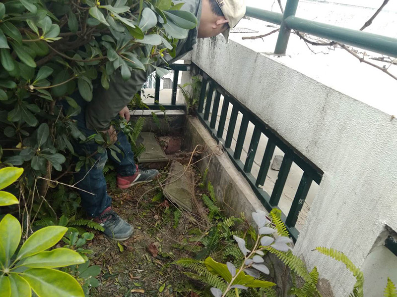 屋頂露臺看現(xiàn)場：如果防水師傅沒有檢驗基層，直接就刷防水涂料的話，那么基層比較差，后期肯定會發(fā)生滲漏問題的。當(dāng)然，有的朋友會說，即便發(fā)生這種情況，后果也是該師傅來承擔(dān)的。但事實上，真的沒有人會希望發(fā)生問題，畢竟在出現(xiàn)問題之后，會給自己生活帶來很大的麻煩。