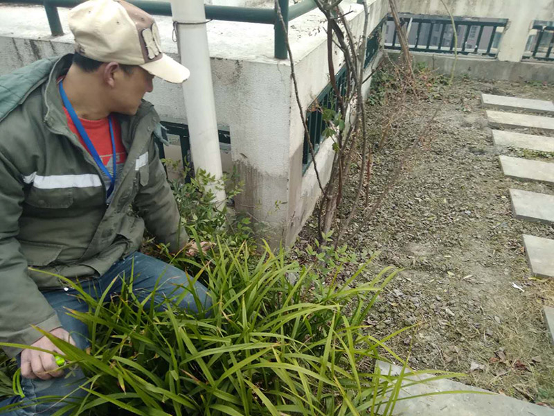 屋頂露臺看現(xiàn)場：如果防水師傅沒有檢驗基層，直接就刷防水涂料的話，那么基層比較差，后期肯定會發(fā)生滲漏問題的。當(dāng)然，有的朋友會說，即便發(fā)生這種情況，后果也是該師傅來承擔(dān)的。但事實上，真的沒有人會希望發(fā)生問題，畢竟在出現(xiàn)問題之后，會給自己生活帶來很大的麻煩。