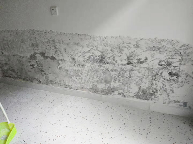 墻面局部鏟除防水：1、清理墻面：以鏟刀清除墻面已松動(dòng)的膩?zhàn)訉?。用鏟刀無(wú)法清除的膩?zhàn)訉?，可以用小錘子輕輕敲擊，如果沒(méi)有空鼓的聲音，并且敲后仍不松動(dòng)的地方可以保留原有的基層。 2、清洗墻面：用清潔水或洗滌靈將表面的浮塵、油污進(jìn)行徹底清洗干凈，然后用高壓水槍進(jìn)行徹底沖洗，清除已粉化的涂層。 3、修補(bǔ)墻面： （1）基層起皮的處理方法：鋼絲刷刷掉起皮的涂料面層，刷界面劑，重新進(jìn)行涂料施工。 （2）基層裂縫的處理方法：開(kāi)V型槽，掛抗堿玻纖網(wǎng)格布，水泥砂漿抹面，批刮柔性膩?zhàn)?，進(jìn)行涂料施工。 （3）基層空鼓的處理方法：云石機(jī)切出空鼓的墻面，薄而多遍的水泥砂漿抹面，達(dá)到原有墻面的高度，刷界面劑，然后進(jìn)行涂料施工。