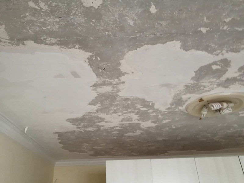 天花板鏟除翻新:1.舊墻的基本處理、舊墻的基本處理主要指清除墻面的原有裝修和裝飾。一般包括墻面原有的乳膠漆和膩?zhàn)訉拥溺P除、木裝修、其它表面裝飾物(如壁紙)的拆除等。如果只裝修了一兩年的墻面，墻體的耐水膩?zhàn)涌梢圆槐赝耆P除，用鋼刷和砂紙打磨墻面后即可重新涂刷乳膠漆。裝修時(shí)間較長(zhǎng)的則需要將膩?zhàn)訉油耆P除，重新刷上膩?zhàn)釉龠M(jìn)行其他工序。 2.清理墻面、舊墻面在翻新前一定要做墻面基底處理，粉化嚴(yán)重的要全部鏟除，鏟除后抹上一層白水泥。原來(lái)墻面過于光滑、刷過油漆的鏟除后還要做打磨處理，把粘結(jié)不牢的表皮去掉，便于新涂料和墻體粘結(jié)。 3.涂刷底漆、墻面底漆的作用是抗堿防潮、封固基材、保護(hù)面漆，提高面漆的質(zhì)感和遮蓋力。對(duì)于老房翻新，墻面一定要做底漆，如果沒有刷底漆就直接上面漆的話，時(shí)間一長(zhǎng)墻面容易起泡、發(fā)霉，太陽(yáng)照曬時(shí)間長(zhǎng)了也容易變色。 4.大面積修補(bǔ)、已經(jīng)上好面漆的墻面要修補(bǔ)會(huì)比較麻煩，容易產(chǎn)生色差，材料的使用時(shí)間不同，質(zhì)量也難以保證，很難達(dá)到理想效果。所以墻面的修補(bǔ)最好是整塊墻面，或是盡可能地選擇較大面積進(jìn)行修補(bǔ)，這樣可以盡量避免產(chǎn)生色差，修補(bǔ)后的質(zhì)量也更好。 5.防色差、墻面色差是修補(bǔ)墻面時(shí)需要盡量避免的。為此，應(yīng)該注意按照油漆桶的說明配比、涂刷，最好估算好用量。一次準(zhǔn)備足夠的量，這樣能保證墻面顏色一致，也能避免用量不足重新調(diào)配出來(lái)的顏色有差異。