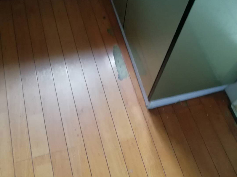 地板局部維修翻新：起下需替換的地板。用一字螺絲刀即將替換的地板短邊處鑿出一個(gè)1厘米長的縫隙,再用曲線鋸將需替換的地板表面鋸成十字形的鋸縫;然后將分紅四小片的地板取出。 整理膠水。用鋼鋸條整理原接口殘留的膠水,并確保整理好的榫槽便于裝置,假如整理不完全,接縫會(huì)不平或不嚴(yán)。能夠用有新榫頭小片地板在接口上來回滑動(dòng),找出殘留膠跡并鏟除,使修正后的地板漂亮。