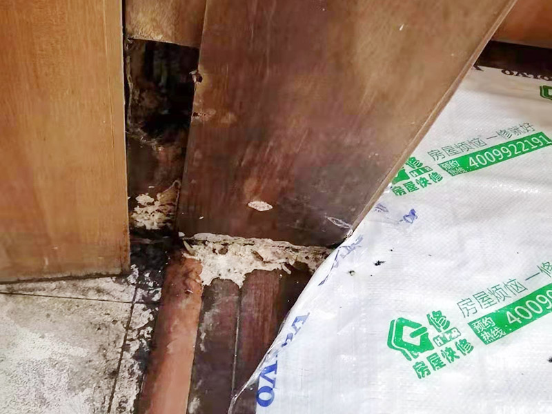 鄭州裝修維修招商_鄭州家裝定制加盟_鄭州互聯(lián)網裝修網平臺