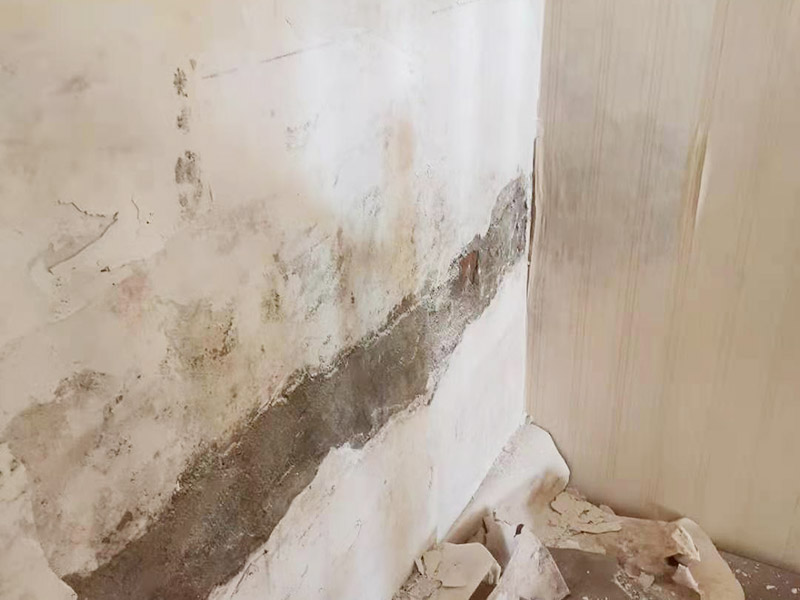 墻面滲水外墻施工：墻內(nèi)水管漏水的話是有辦法檢查出來的，因?yàn)橛械臅r(shí)候是因?yàn)樾l(wèi)生間馬桶或者是馬桶水箱的問題導(dǎo)致了錯(cuò)誤的判斷。要想知道究竟是不是墻內(nèi)水管出現(xiàn)了問題而出現(xiàn)的漏水情況的話，我們可以用一根鐵棒順著水管的走線，一端抵在墻上或地上，一端貼在耳朵上，仔細(xì)地聽，一般情況可以找到漏的地方，這樣一來不僅能夠清楚明白的知道是否是墻內(nèi)水管漏水還了解到了漏水源頭，這樣一來就好處理得多了。 墻內(nèi)水管漏水，只能鑿開墻，才能真正找到水管漏點(diǎn)，徹底修理好。