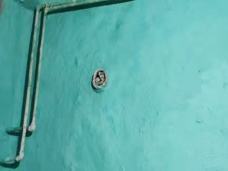 廁所地面刷防水：作防水前，一定要把需要作防水的墻面和地面打掃干凈，否則，再好的防水劑也起不到防水的作用。一般的墻面防水劑要刷到30厘米的高度。地面要全部刷到，而且必須等第一遍干了后，才能刷第二遍。防水重點(diǎn)位置：墻角位置，要多刷1－2遍。下水管周圍，要多刷1－2遍。防水做完了，不要以為就沒有事了，還要&ldquo;開閘放水&rdquo;，試水。試水一試就是24個小時，看周圍墻面有沒有滲水現(xiàn)象