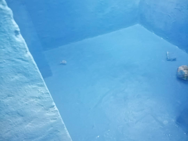 衛(wèi)生間防水維修: 鏟除原有的墻磚和地磚，這個(gè)步驟主要是針對(duì)老房二次裝修的，如果是新房可以跳過(guò)這個(gè)步驟，一般使用灰刀就可以，刮板也可以將原有的地磚鏟除掉。墻面將水電改造開(kāi)槽用水泥封堵基層清理，細(xì)部附加層施工，在管根、地漏、陰陽(yáng)角、等容易漏水的薄弱部位均勻涂刷，涂刷防水涂料兩遍，縱向橫向各涂刷一遍，做保護(hù)層，待防水干燥后放水做48小時(shí)閉水試驗(yàn)。