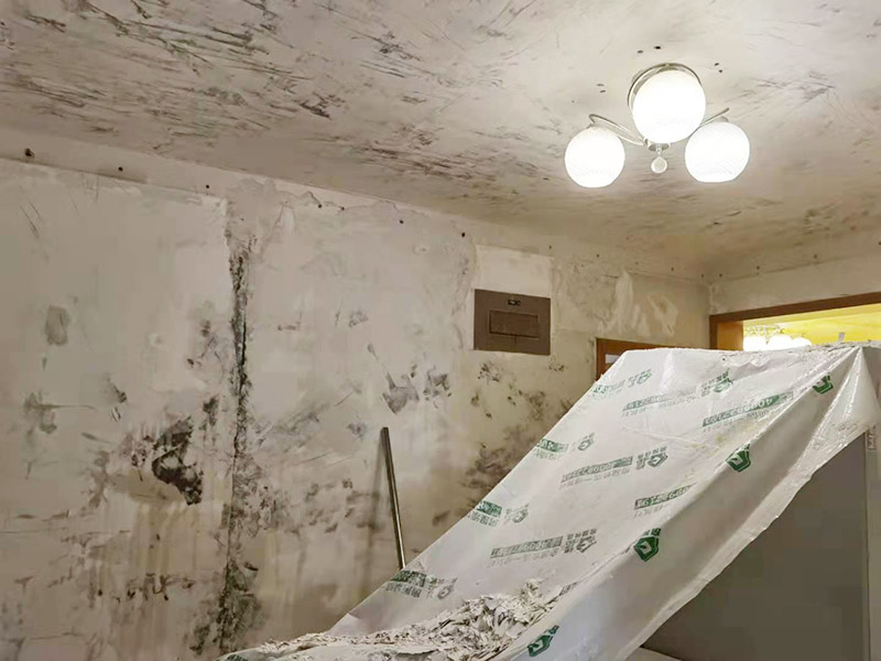 客廳墻面拆除翻新：墻面如果出現(xiàn)細(xì)微白色粉末，說(shuō)明墻內(nèi)鹽分在析出，這時(shí)候建議大家可以用尼龍刷或鐵刷將其刷除，在觀察幾天，確定不再有白色粉末析出，且待水泥墻面干燥磨平，便可上漆。若水泥墻表面白色粉末多且不斷析出，將其清理后，可先上一道墻面底漆，預(yù)防日后鹽分侵蝕，形成壁癌。也不要在三個(gè)月內(nèi)使用油性涂料或不透水的壁紙涂刷或裝修。可以使用刀或是鐵刷來(lái)除去墻面剝落的漆膜，然后利用砂紙將墻面表層磨平就可以了。用批土刀來(lái)修整墻體的表面，有的墻面會(huì)出現(xiàn)污漬、開(kāi)裂、起泡等現(xiàn)象，都要及時(shí)做處理。墻面涂刷的時(shí)候應(yīng)該先從頂部開(kāi)始