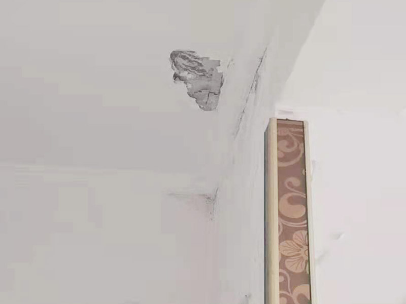 墻面空鼓掉皮維修：首先將空鼓部分敲掉，將涂料層除去，對墻面作找平處理，然后使用石膏基防霉耐水批土做墻面滿批后再刷一底二面的漆就可以了。重新進行墻面粉刷，粉刷時需要注意，需要在粉刷前一天將墻面濕潤。