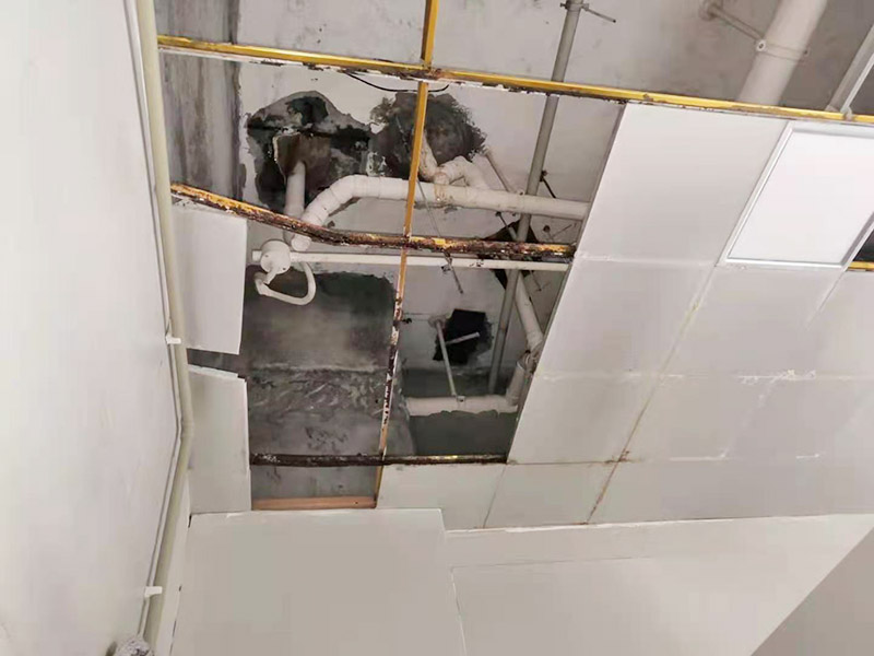 商場衛(wèi)生間吊頂維修