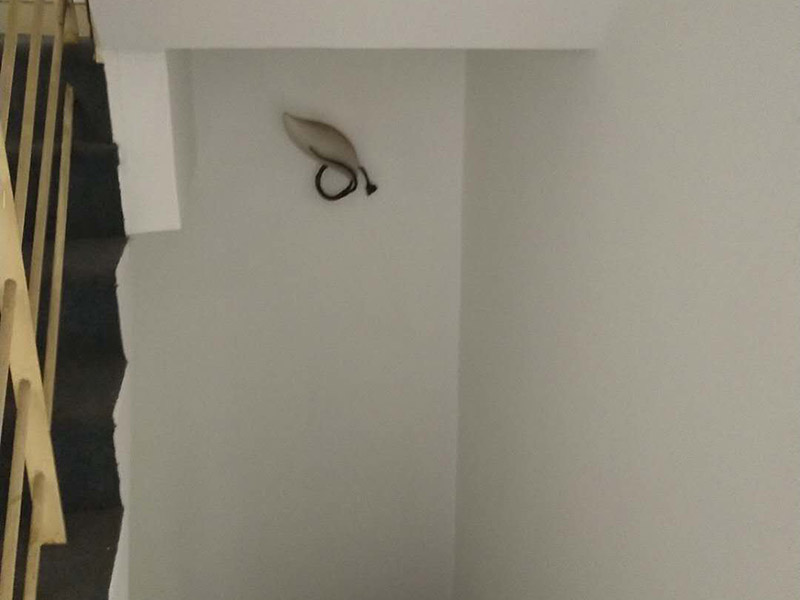 重慶屋頂漏水維修反復(fù)滲漏原因，重慶屋頂漏水怎么處理