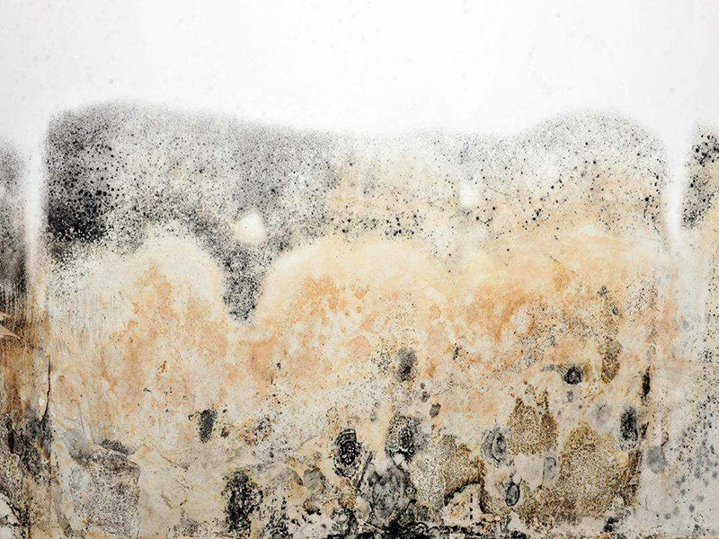 墻面發(fā)霉怎么處理妙招整理，搞清楚發(fā)霉原因對癥下藥才能藥到病除