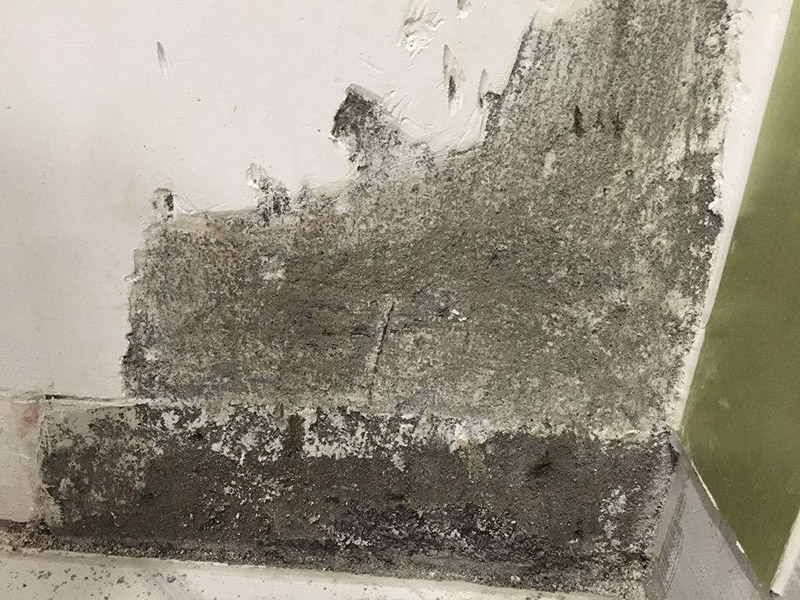 梅雨季節(jié)墻壁發(fā)霉怎么處理，為大家整理的小竅門來了