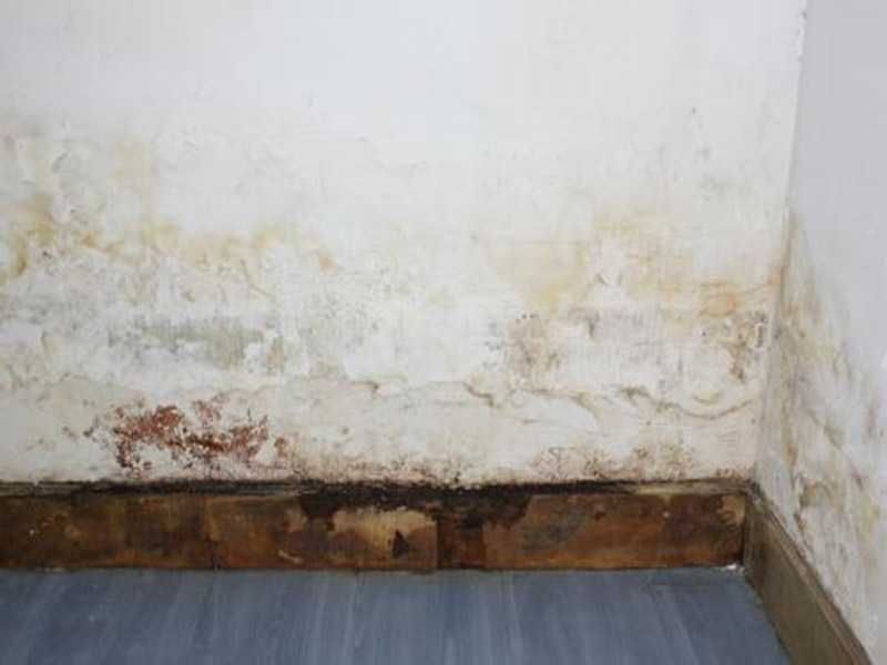 墻面發(fā)霉怎么處理妙招整理，搞清楚發(fā)霉原因對癥下藥才能藥到病除