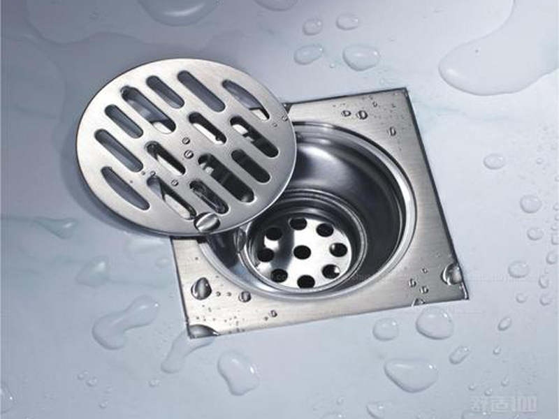 地漏總是反味有異味偶爾還有小飛蟲，保證地漏清潔是解決問題的根本