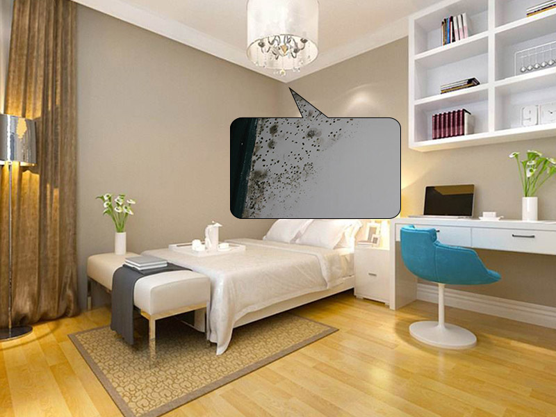 驚了！原來墻體發(fā)霉會對人體存在危害，