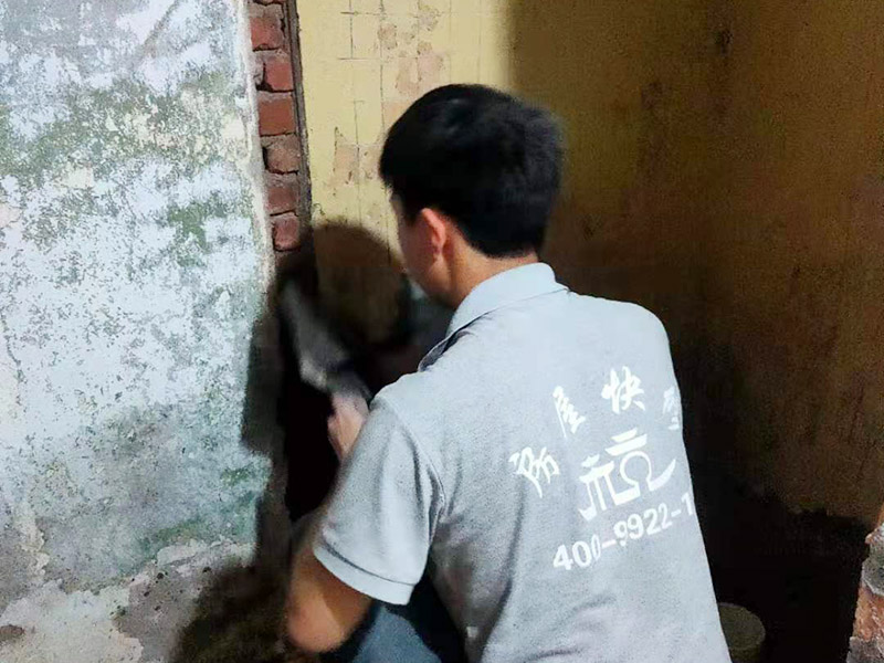 拉薩室內(nèi)全屋整裝哪家好，拉薩室內(nèi)全屋