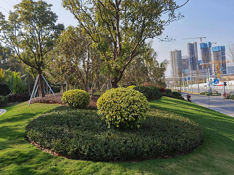 城市綠化環(huán)境改造工程包括哪些內(nèi)容？