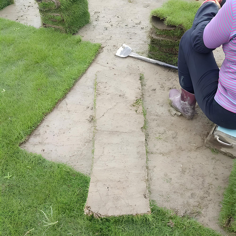 人工草坪包工包料多少錢一個(gè)平方